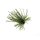 Rapture TG Finesse Rub Jig 3,5gr #01 Watermelon Jig con Gonnellino