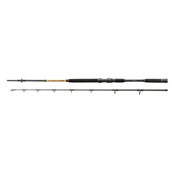 Nevis Powercat BX 2,40m 200-400gr Canna da pesca al siluro 2 pezzi