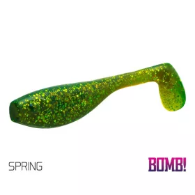 Delphin FATTY Shad in gomma SPRING 100mm - 5pz