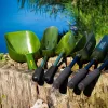 Carp Academy Baiting Spoon Paletta da pastura XL Profonda