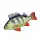 Cuscino a Forma di Pesce Persico Baby