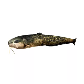 Cuscino a forma di pesce Siluro Baby