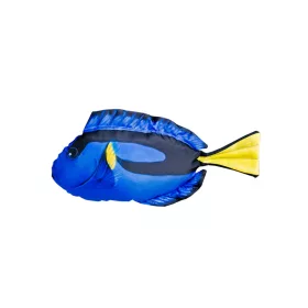 Cuscino a Forma di Pesce Dory Baby