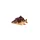 Cuscino a Forma di Pesce Carpa Baby