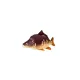 Cuscino a Forma di Pesce Carpa Baby