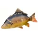 Cuscino a Forma di Pesce Carpa Gigante