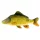 Cuscino a Forma di Pesce Carpa Gigante Squamata