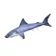 Cuscino a forma di pesce Squalo Baby