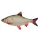 CUSCINO A FORMA DI PESCE SCARDOLA