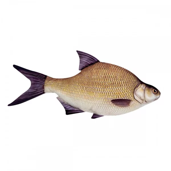 Cuscino a Pesce Abramide 70Cm