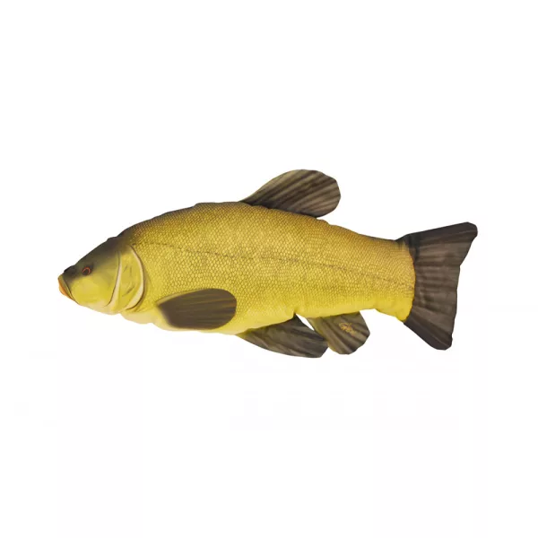 EnergoTeam Cuscino pesce Tinca 60cm