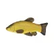 EnergoTeam Cuscino pesce Tinca 60cm