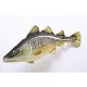 EnergoTeam Il Merluzzo Atlantico 75cm Cuscino a Forma di Pesce