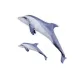 EnergoTeam Il Delfino Tursiope Grigio 125cm Cuscino a forma di pesce