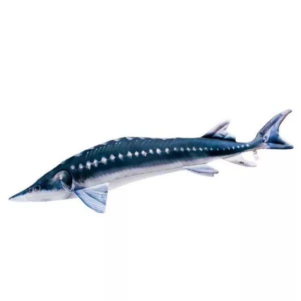 EnergoTeam Lo Storione Europeo Monster 200cm Cuscino a forma di pesce