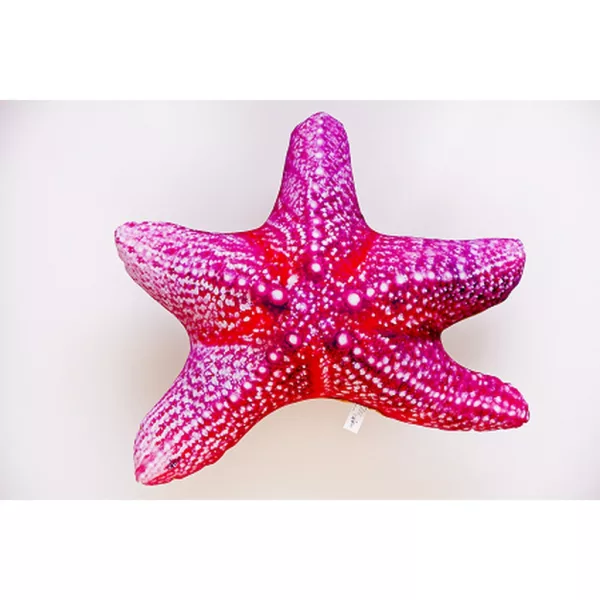 EnergoTeam The Starfish 55cm Cuscino a Forma di Pesce