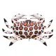 EnergoTeam The Calico Crab 60cm Cuscino a Forma di Pesce