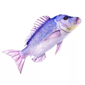 EnergoTeam The Dentex 80cm Cuscino di Pesce