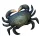 EnergoTeam The Mud Crab 60cm Cuscino a forma di pesce