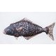 EnergoTeam The Halibut 72cm Cuscino a forma di pesce
