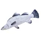 EnergoTeam The Barramundi 95cm Cuscino a forma di pesce
