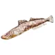 EnergoTeam The Flathead 97cm Cuscino a forma di pesce