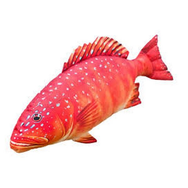 EnergoTeam The Coral Trout 81cm Cuscino a forma di pesce