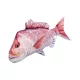 EnergoTeam The Snapper 102cm Cuscino a forma di pesce