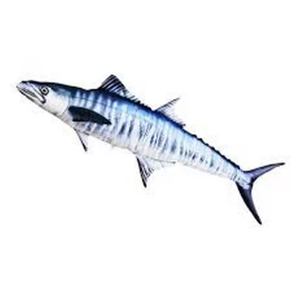 EnergoTeam The Mackerel Spanish 102cm Cuscino a forma di pesce
