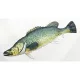 EnergoTeam The Murray Cod 100cm Cuscino a forma di pesce