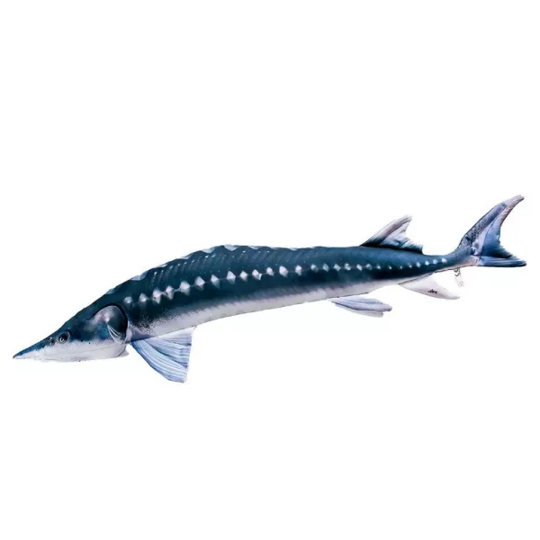 EnergoTeam The European Sturgeon 36cm Cuscino a forma di pesce