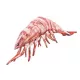 EnergoTeam The Tiger Prawn 65cm Cuscino a forma di pesce