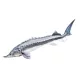 EnergoTeam The Beluga Sturgeon 140cm Cuscino a forma di pesce