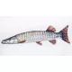 EnergoTeam The Monster Luccio muschiato 200cm Cuscino a forma di pesce