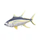 EnergoTeam The Monster Yellowfin Tuna Cuscino a Forma di Pesce da 160cm