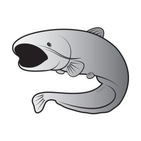 Delphin Adesivo siluro SILVER