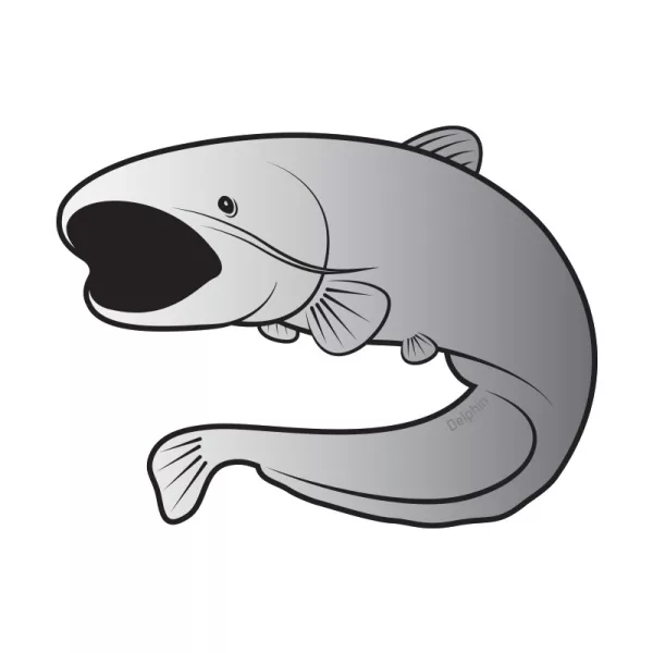 Delphin Adesivo siluro SILVER