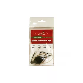   Carp Expert Senza piombo Go green Inline Blow-Back Rig 4 80gr