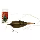 Carp Expert Method Rig Terminali con spiedo per esche 50gr + 10 Spiedini