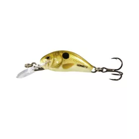 Salmo Hornet H3F PLS 3,5cm 2,6gr Wobbler Affondante