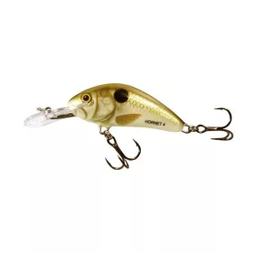 Salmo Hornet H4F PLS 4cm 3gr Wobbler Galleggiante