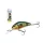 Salmo Rattlin Hornet H5 5F SNP 5,5cm 10,5gr Wobbler