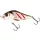 Salmo Minnow Slider Minnow WRGS 50mm - 8gr