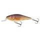 Salmo Minnow Executor Minnow RR 90mm - 14,5gr