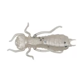 Wizard LARVA COL. 001 6PCS/BAG Esca artificiale in gomma
