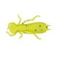 Wizard LARVA COL. 002 6PCS/BAG Esca artificiale in gomma