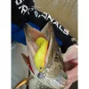 Nevis Twister Shad Vantage Perch 9cm 6,56gr Esca artificiale in plastica Verde-Bianco 3pz