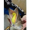 Nevis Twister Shad Vantage 9cm 6,56gr 3pz/cf /giallo-glitter/ Esca in plastica