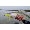 Nevis Impulse Shad 10cm 6,92gr 4pz/conf Verde Fluo Esca in plastica