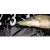 Reiva Zander Power Shad 10cm 7,05gr 4pz/cf (Fluo Verde) Esca in plastica